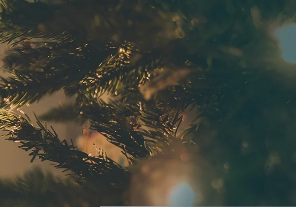 Kreuzfahrten Angebot 1484719