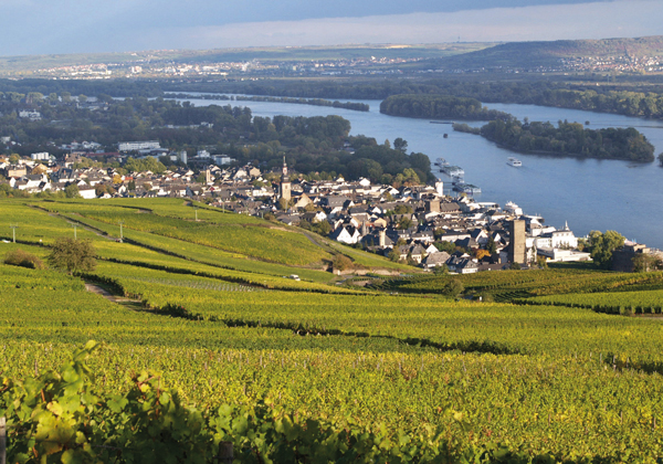 Kreuzfahrten Angebot 1488268