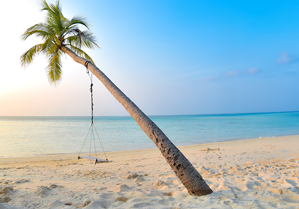 Kreuzfahrten Angebot 1512328