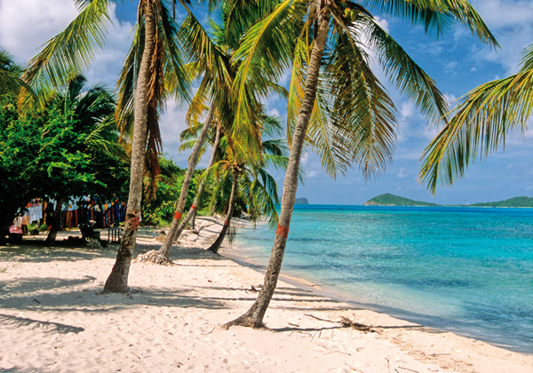 Kreuzfahrten Angebot 1551220