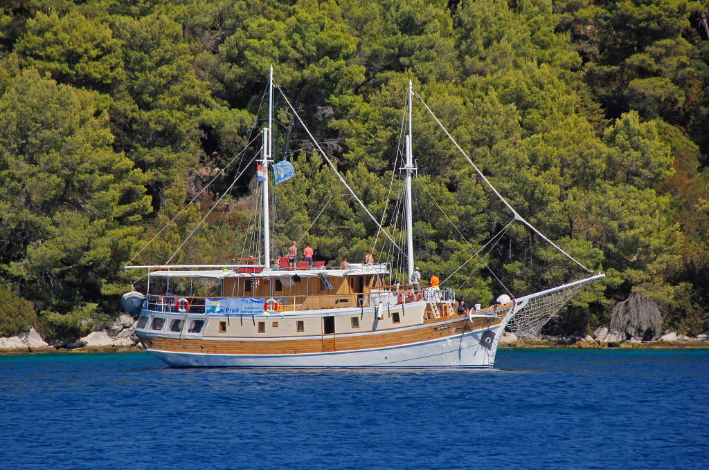 Bild des jeweiligen Schiffs auf dem Wasser
