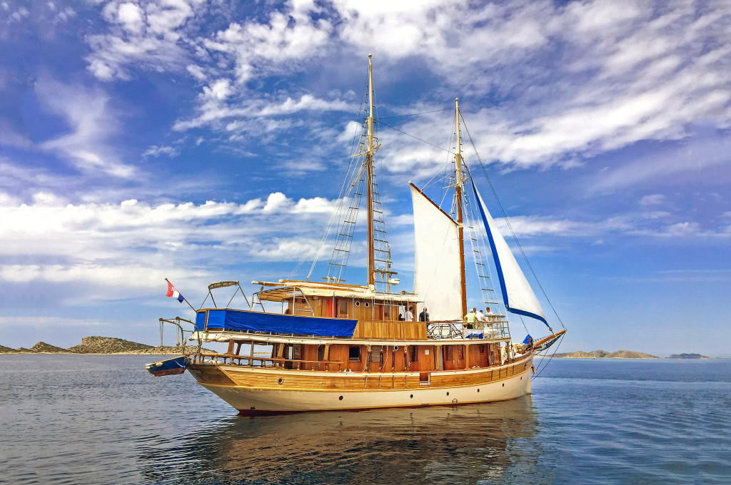 Bild des jeweiligen Schiffs auf dem Wasser
