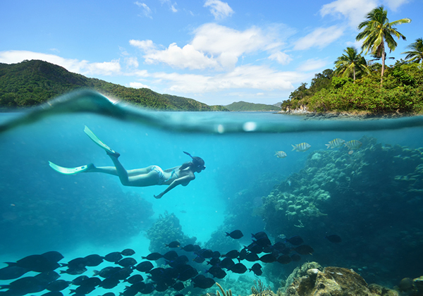 Norwegian Cruise Line